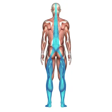 Funktionales Basistraining