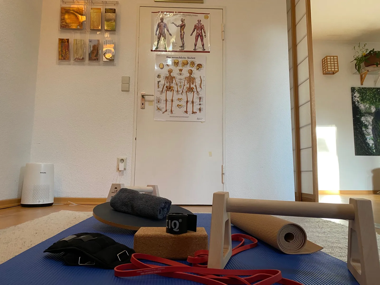 Funktionales Basistraining - Bild